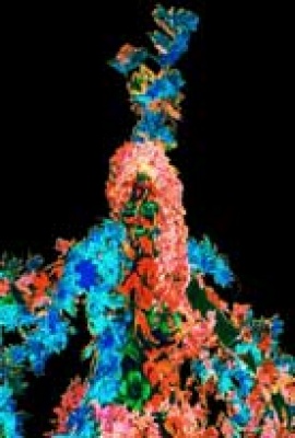 living_schlingpflanze1gross